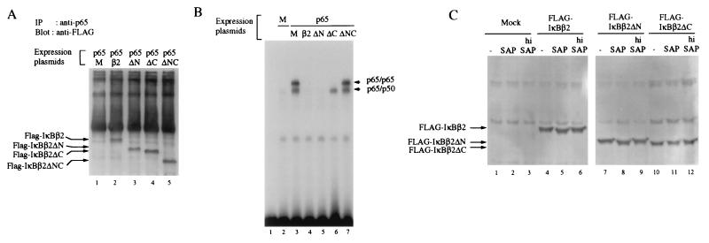 FIG. 6