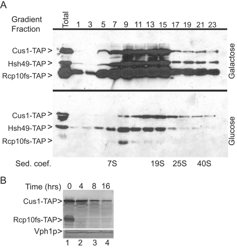 FIG. 5.