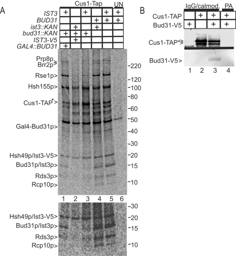 FIG. 7.