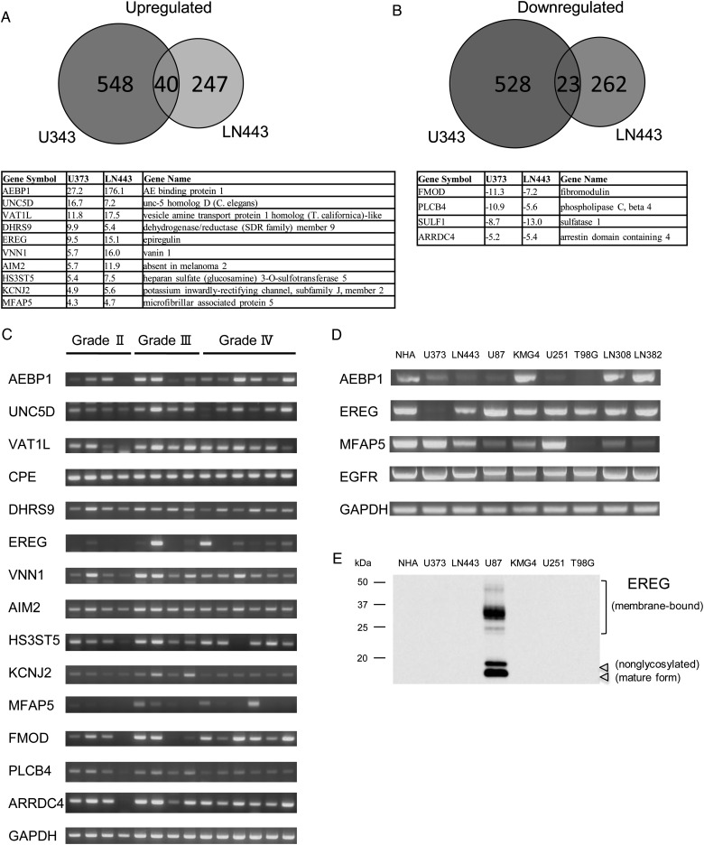 Fig. 2.