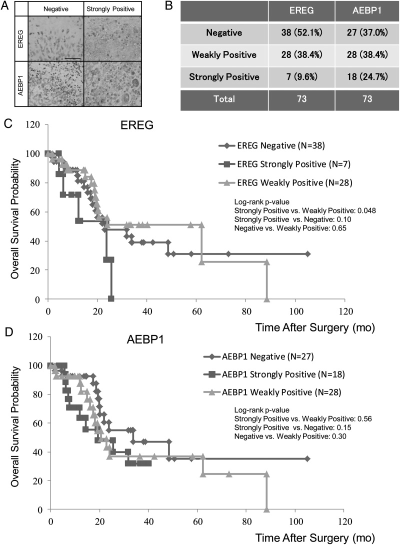 Fig. 3.