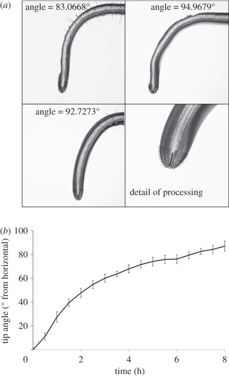 Figure 5.