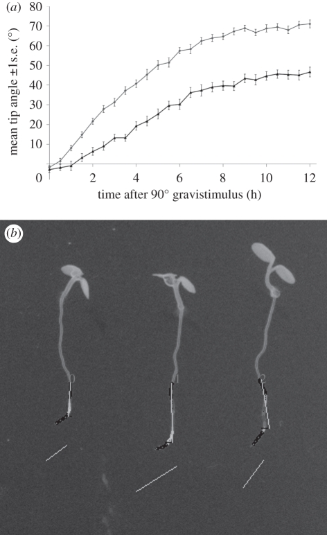 Figure 3.