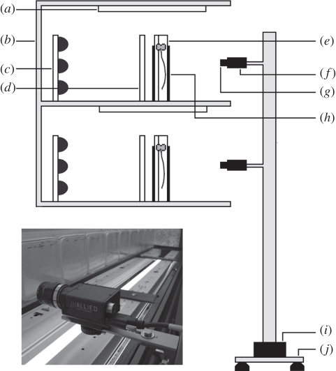 Figure 1.