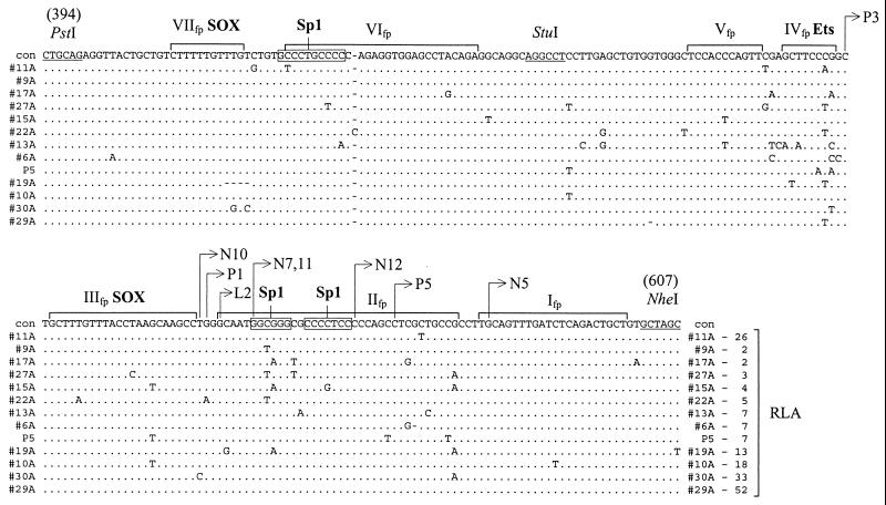 FIG. 8