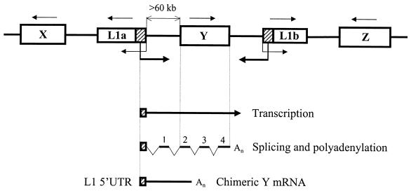 FIG. 9