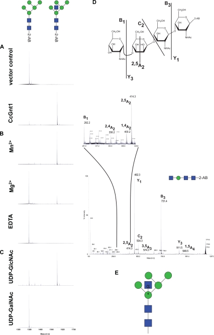 FIGURE 5.