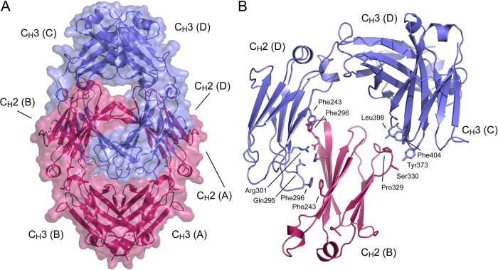 Fig. 1