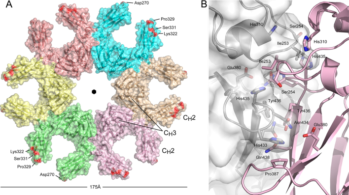 Fig. 4