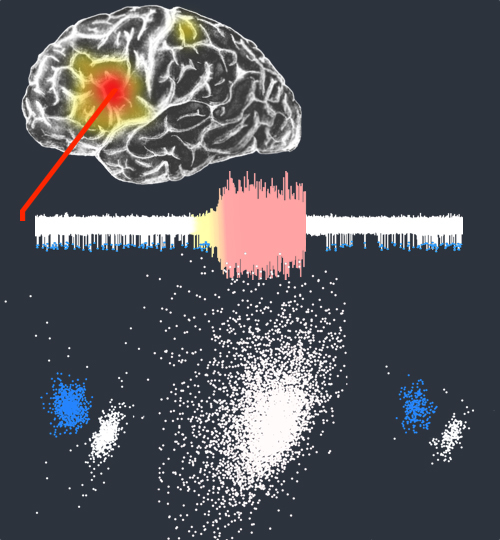 graphic file with name awv208fig1g.jpg