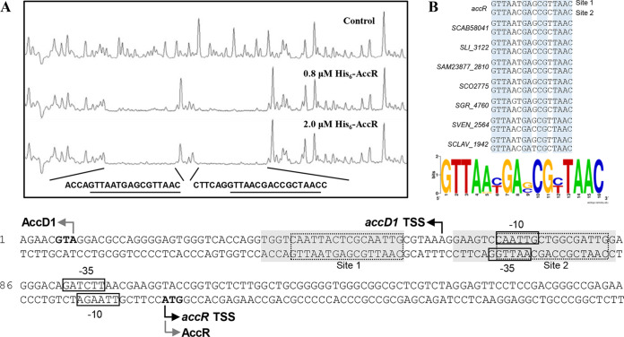 FIG 3