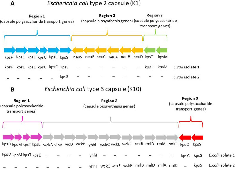 FIG 1