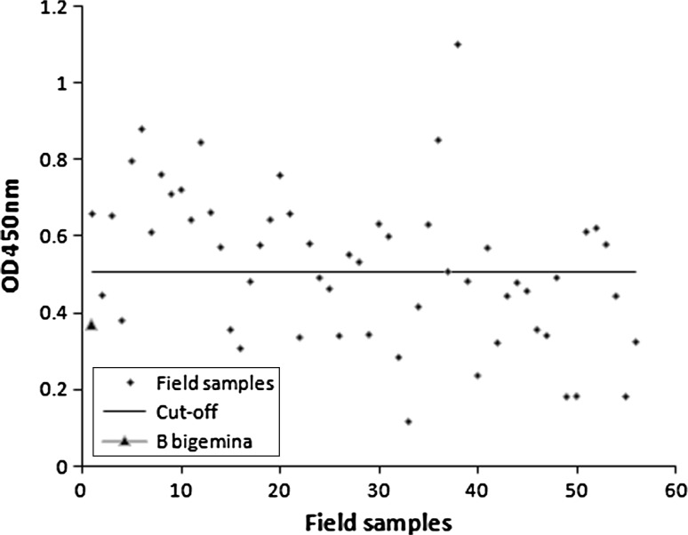 Fig. 2