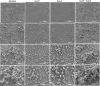 Figure. 5.