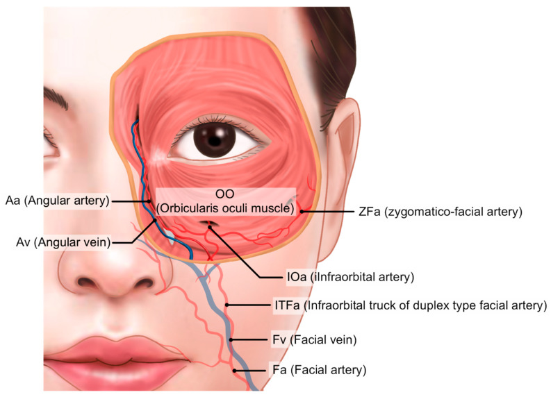 Figure 18