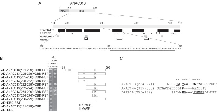 FIGURE 1.