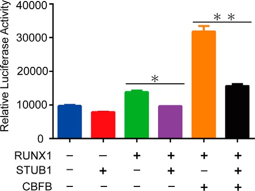 Figure 5.