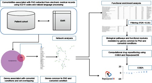 Figure 1: