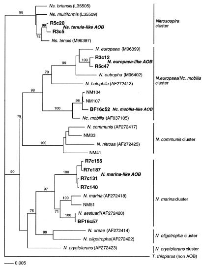 FIG. 1