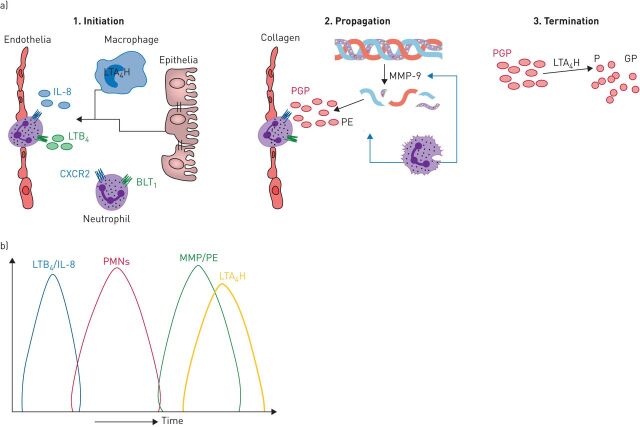 FIGURE 2