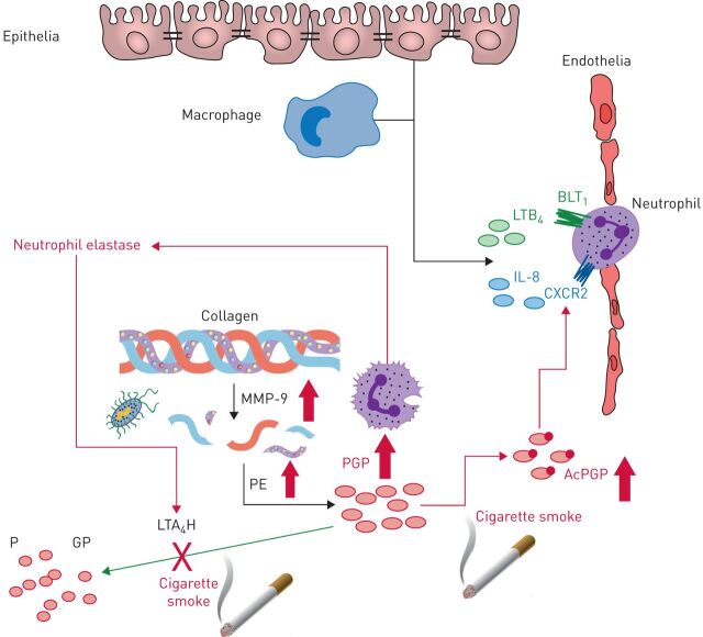 FIGURE 4