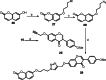 Scheme 8