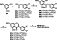 Scheme 17