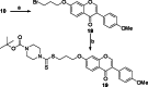 Scheme 5