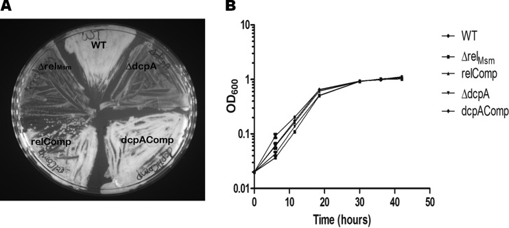 FIG 1