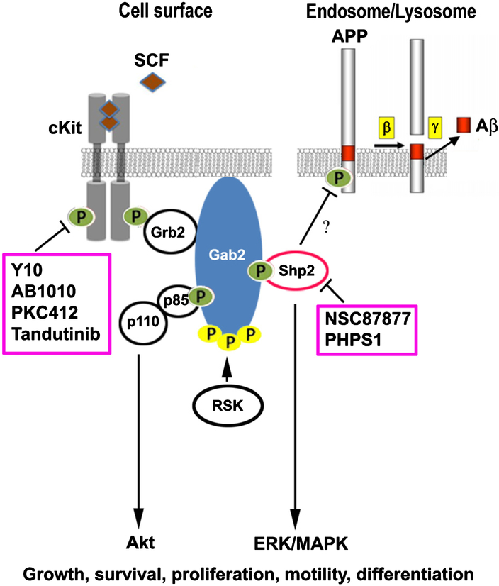 Fig. 11.