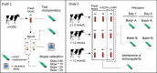 Image, graphical abstract