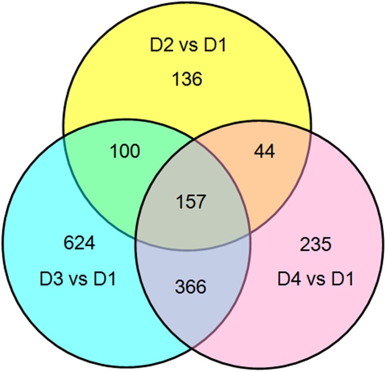 Fig 5