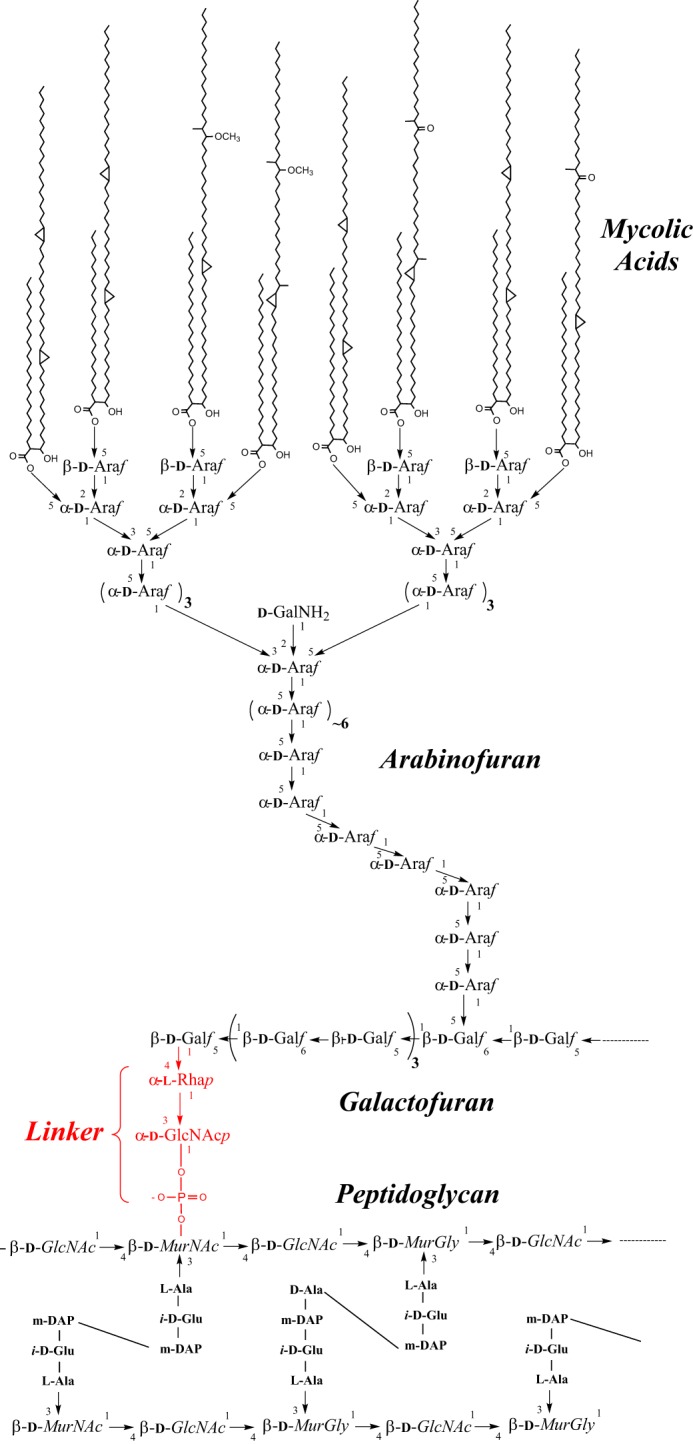 FIGURE 1.