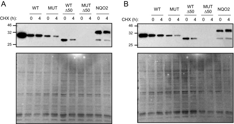 Fig. S6.