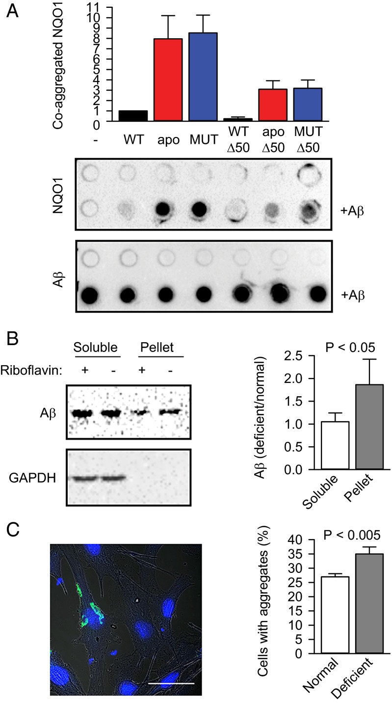 Fig. 5.