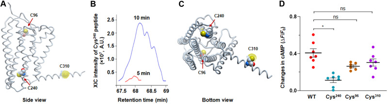 Fig. 3.