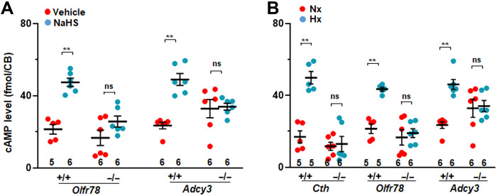 Fig. 7.