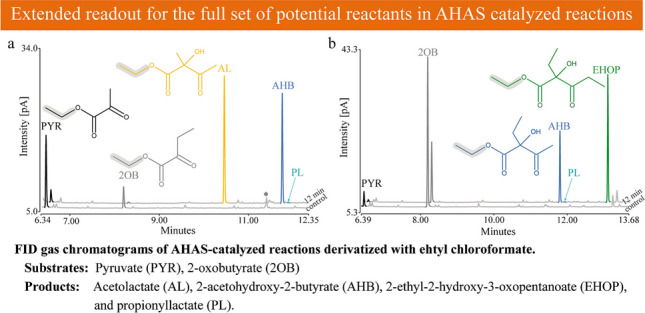 graphic file with name 216_2024_5613_Figa_HTML.jpg