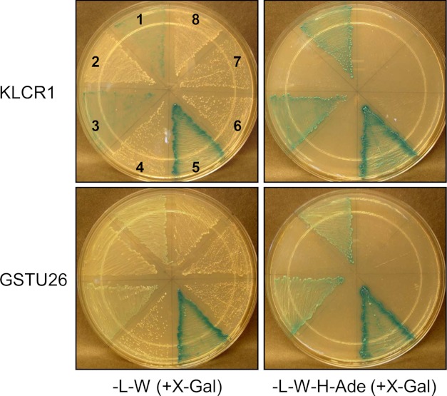 FIGURE 5.