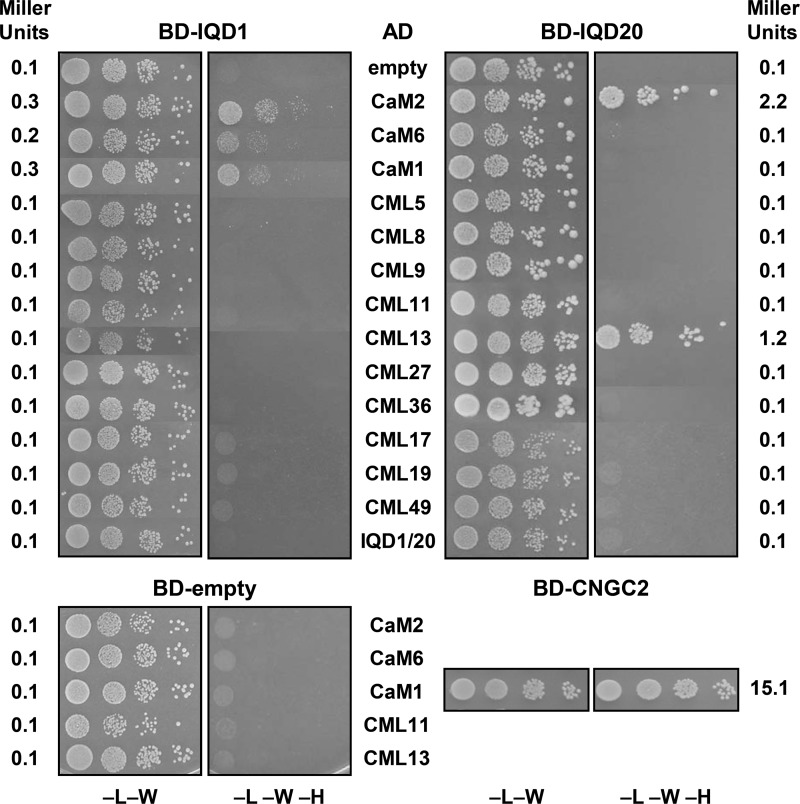 FIGURE 4.