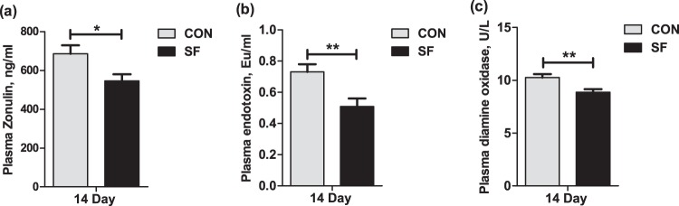 FIG 6