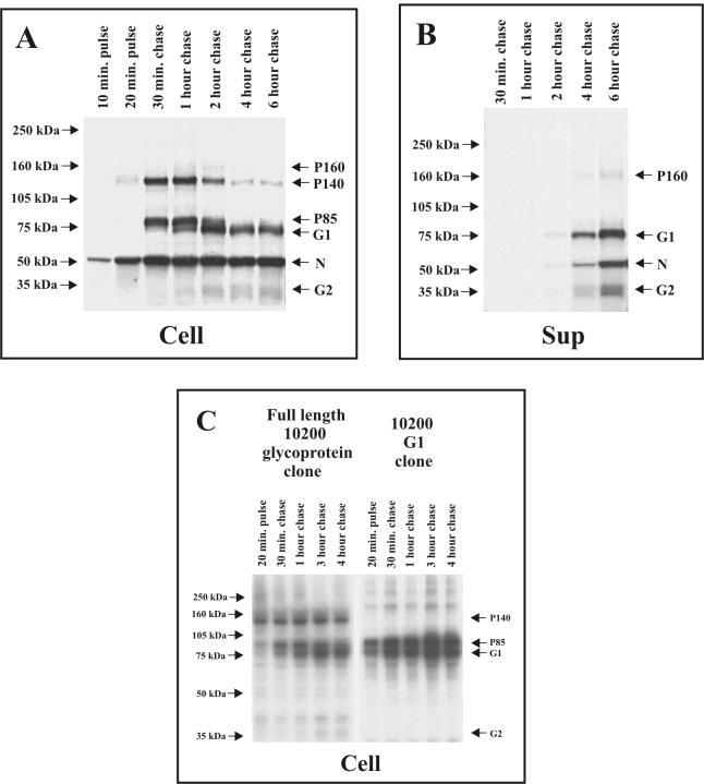 FIG. 4.