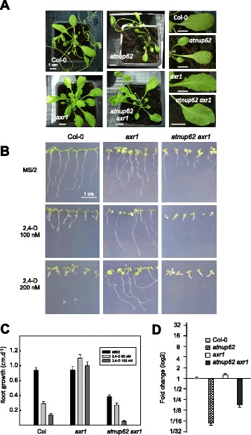 Fig. 4