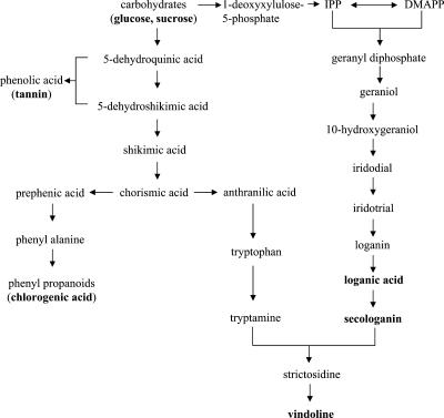 Figure 11.