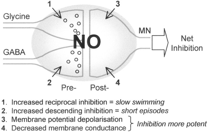 Fig. 8.