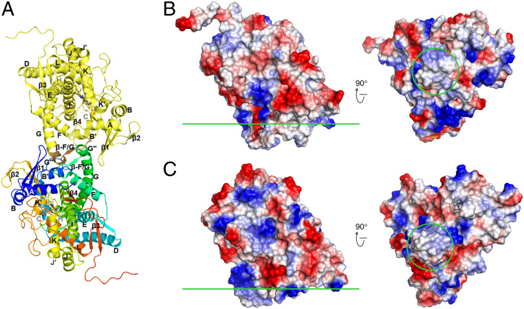 Fig. 4.