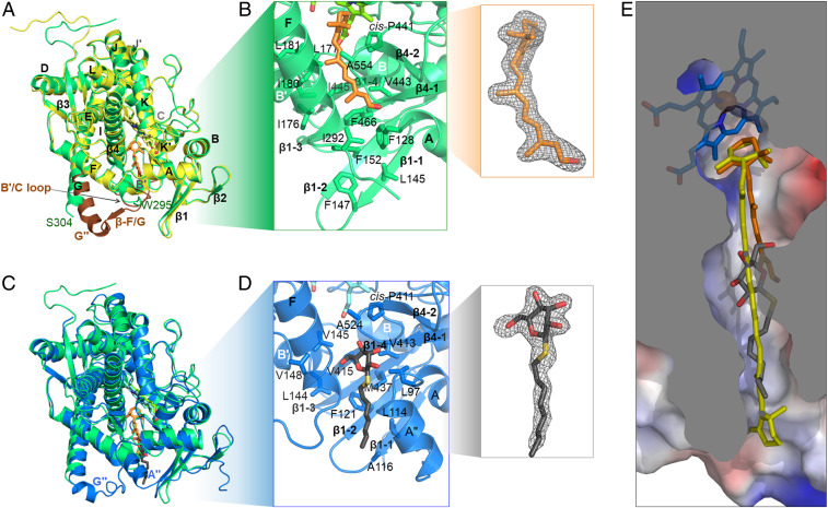 Fig. 3.