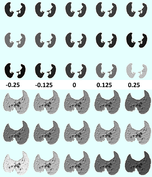 Figure 9: