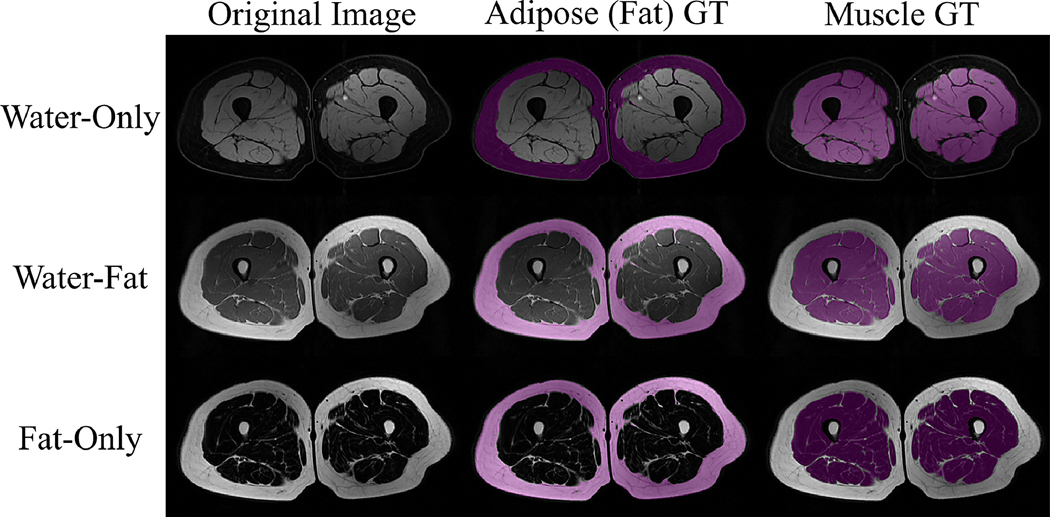 Figure 10: