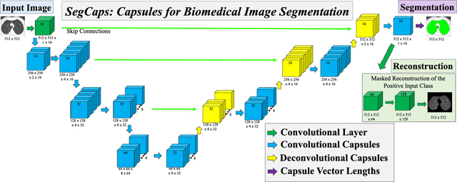 graphic file with name nihms-1644801-f0013.jpg